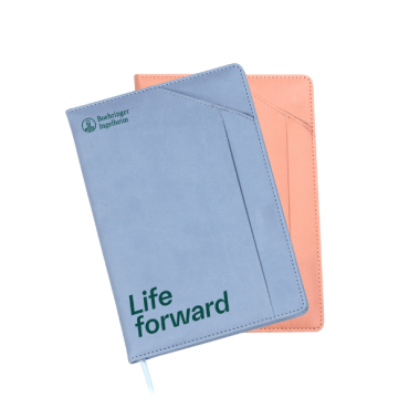 libreta_bidiya